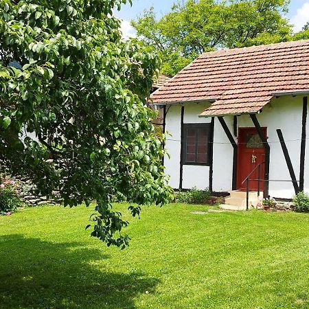 Глинената Къща В Дълги Дел Villa Dŭlgi Del Dış mekan fotoğraf