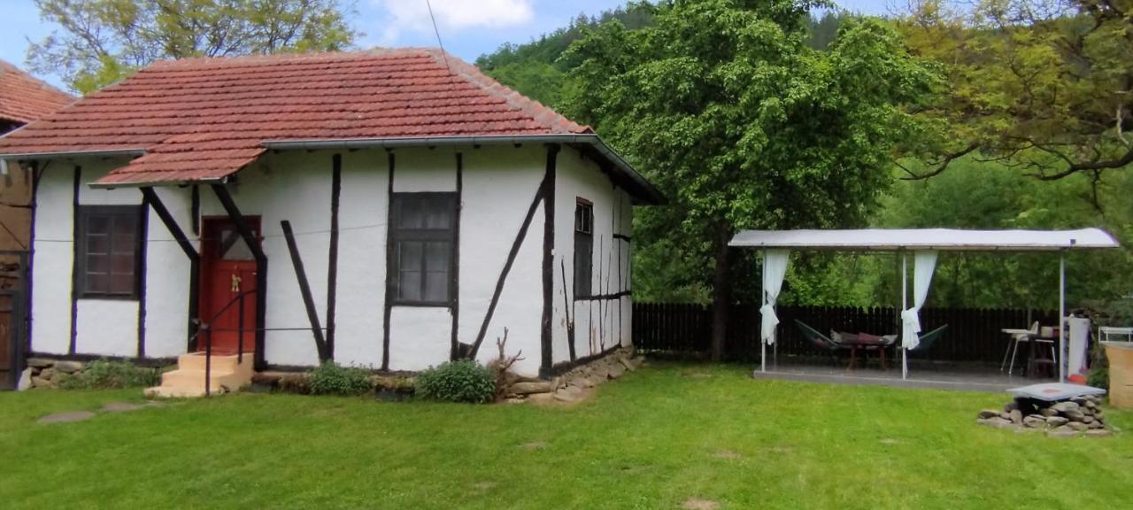 Глинената Къща В Дълги Дел Villa Dŭlgi Del Dış mekan fotoğraf