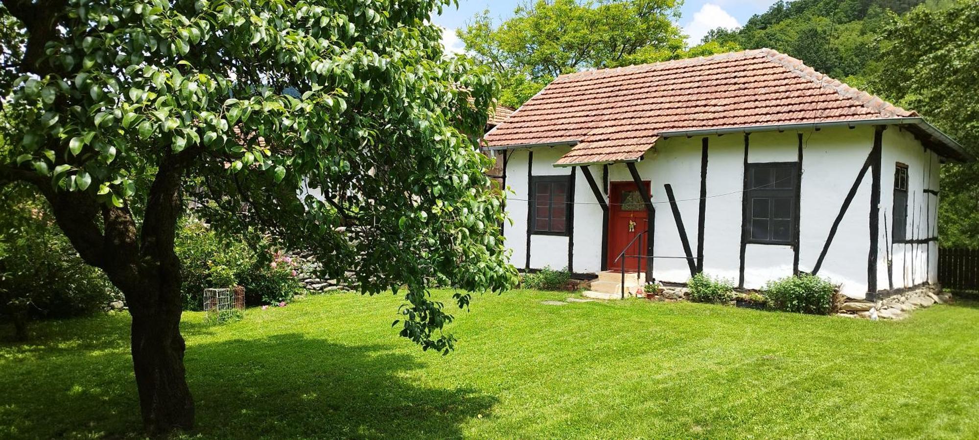 Глинената Къща В Дълги Дел Villa Dŭlgi Del Dış mekan fotoğraf