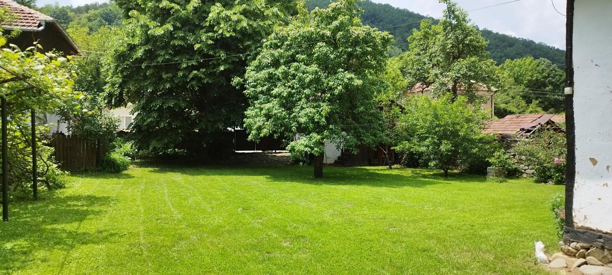 Глинената Къща В Дълги Дел Villa Dŭlgi Del Dış mekan fotoğraf